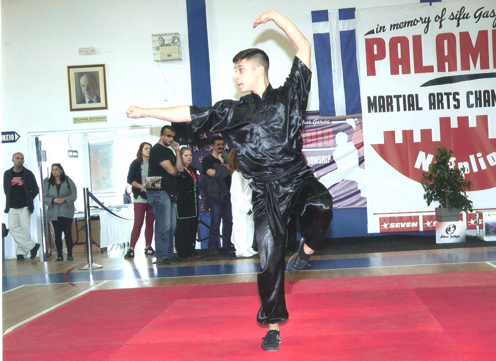 wushu kungfu